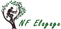 elagage-nf-elagage